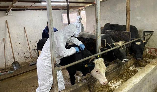 Tarım İl Müdürlüğü kalem kalem çalışmalarını açıkladı