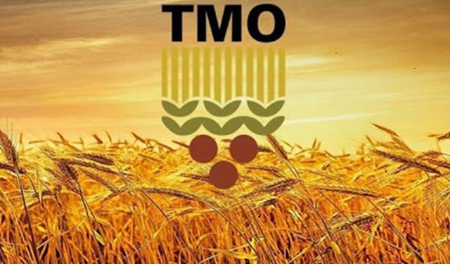 TMO 250 bin ton ekmeklik buğdayı 240 dolardan ithal edecek