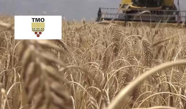 TMO’dan besici ve yetiştiriciye 90 gün vadeli arpa desteği
