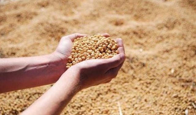 Yemde hammadde fiyatları artıyor son üç ayda sadece arpa fiyatı düştü