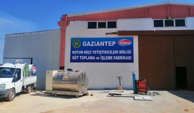 Yetiştirici Birliği süt üreticisini sanayiciye mahkum bırakmadı