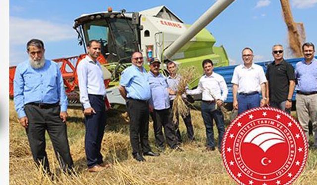 Biçerdöverleri çalıştırma usul ve esasları: Dane kaybı yüksek çıkan cezalandırılacak