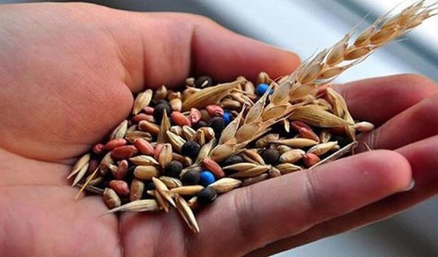 Bin 131 atayadigarı tohum çeşidi toplandı