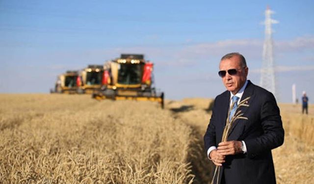 Buğday, arpa ve bakliyat alım ve destek fiyatları açıklandı