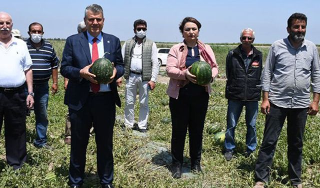 CHP’li vekiller: Karpuz üreticilerinin feryadını duyun çağrısı!
