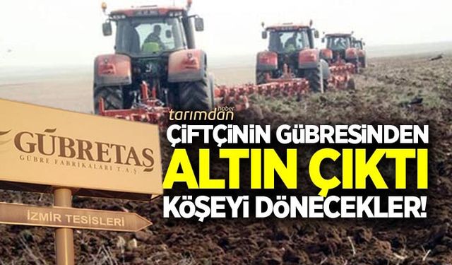 Çiftçinin gübresinden altın çıktı!