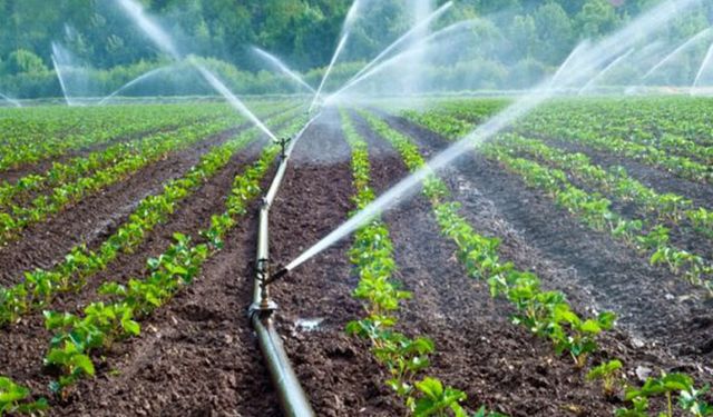 DSİ açıkladı! Gümüşhane’de 113 bin dekar tarım arazisi sulanacak