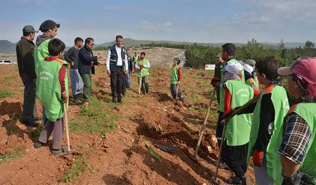 İdlib şehitleri için hatıra ormanı