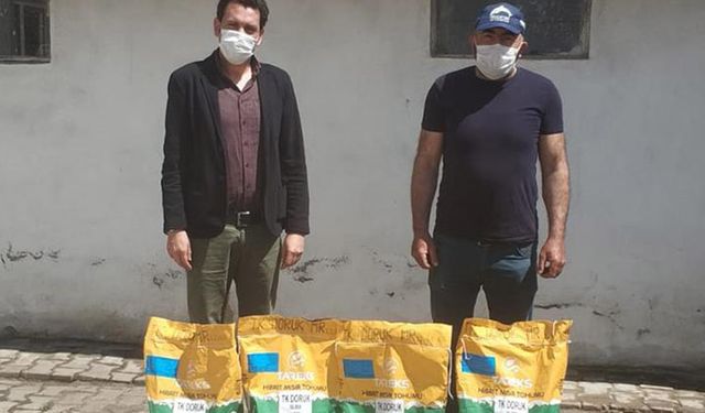 Kütahya’da üreticiye tohum desteği