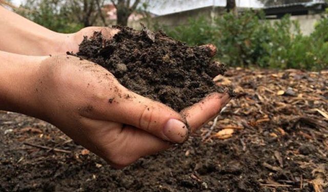 Organik gübre desteği ödenmeye başlandı kimler yararlanacak?