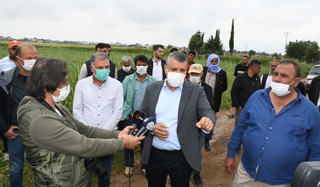 Patates ve soğan üreticilerinin mağduriyetini önleyin
