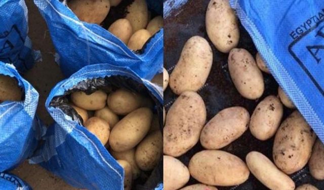 Suriye'ye gitmesi gereken Mısır patatesi Türkiye'de satılıyor üretici Bakandan açıklama bekliyor