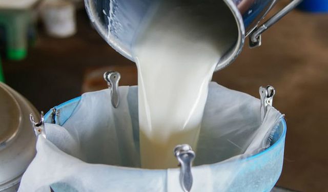 Süt üreticilerine bu yıl yapılacak çiğ süt desteğine ilişkin esaslar açıklandı