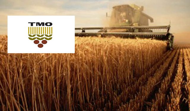 TMO'dan 2020 yılı hububat ve bakliyat taban fiyat açıklaması