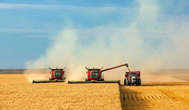 TMO mısır fiyatını artırdı buğdaya dokunmadı 1500 liradan satmaya devam edecek