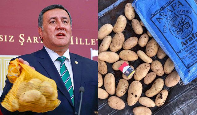 Üreticinin patatesi elinde çürürken Türkiye patates mi ithal etti?