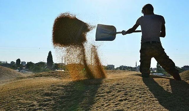 Çiftçiye 1 milyar 469 milyon lira tarımsal destek ödemesi