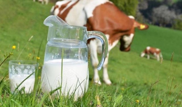 Çiğ süt prim destekleri 15 kuruştan 30 kuruşa çıkarılmalı