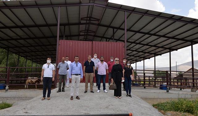 Hibe desteği alarak yaptırdığı işletmesinde hayvan ölümlerinden kurtuldu