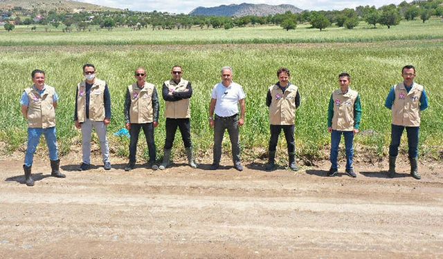 Acıgöl'de ilçe müdürlüğünden süneyi söküp atacak proje