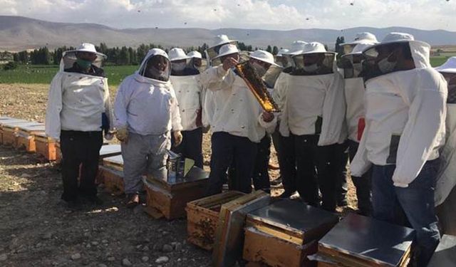 Konya ve Karaman’daki arıcılara FAO’dan destek!
