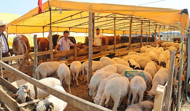 Kurban bayramı ne zaman? Kurban fiyatları ne kadar?