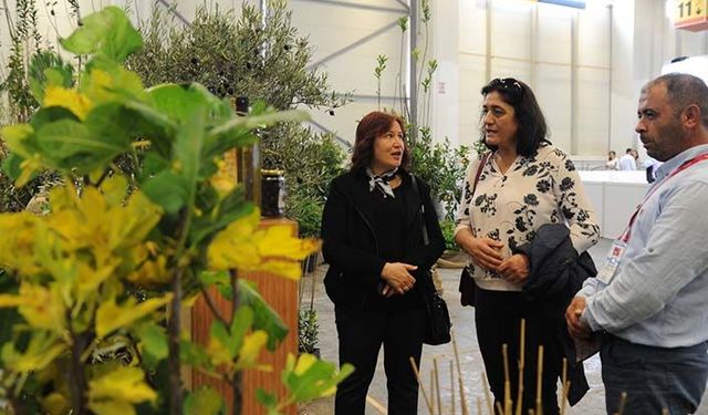 Süs bitkileri üreticileri sektörün ilk hibrit buluşmasını bekliyor
