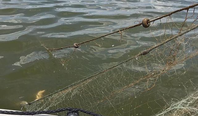 Tarım İl Müdürlüğünden nehir ve baraj göllerinde av yasağıyla ilgili önemli açıklama