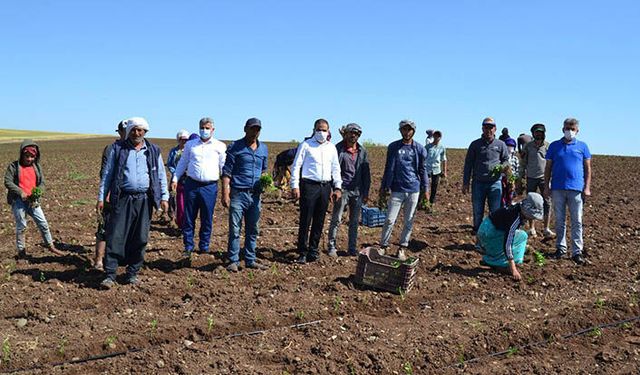 Tarım işçilerini ziyaret ederek yaşam alanları kontrol edildi
