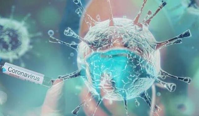 Tarım işçisinde koronovirüs tespit edildi