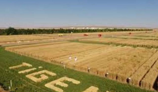 TİGEM'de koronavirüs alarmı