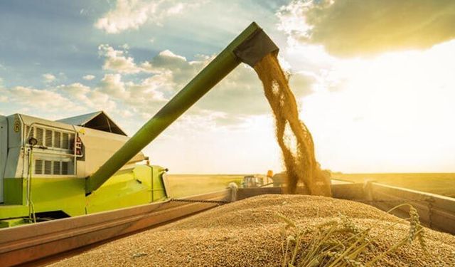 Yıldız Holding: 'Kuraklığa dayanıklı buğday türü geliştirdik'