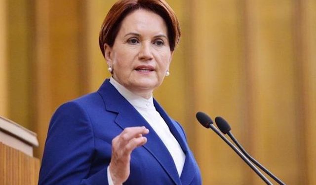 Akşener’den Pakdemirli'ye kızıl geyik tepkisi: Önce işinizi doğru yapın