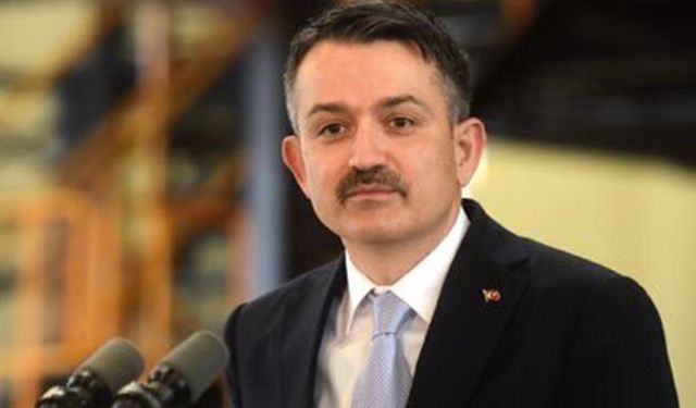 Bekir Pakdemirli'den Ayasofya Camii değerlendirmesi