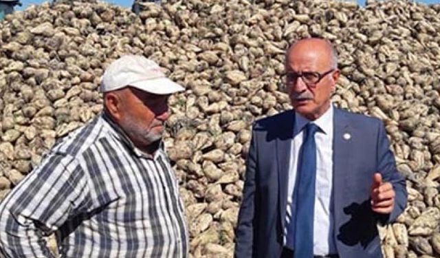 Çorum Şeker Fabrikası özelleşti Yerköy'de pancar ekim alanı 13 bin dekar azaldı!