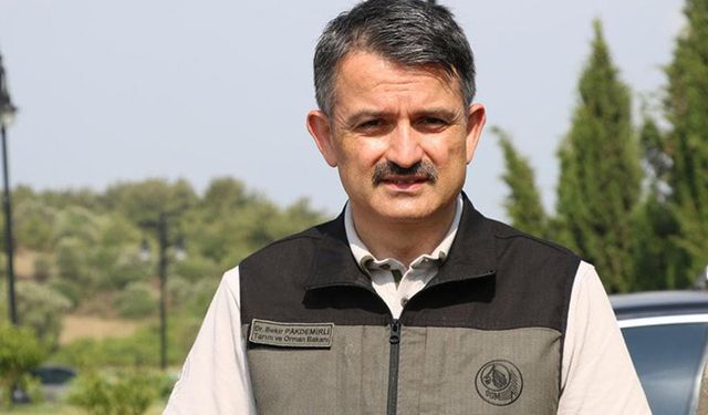 Gelibolu orman yangını kontrol altında