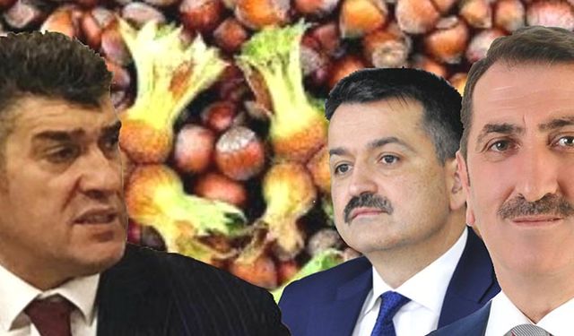 Gübre ve ilaç fiyatlarındaki artışlar fındık taban fiyatına yansıtılacak mı?
