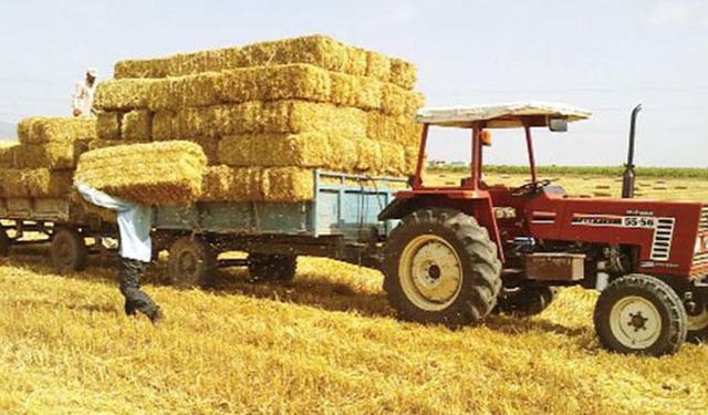 Harman zamanı saman fiyatları el yakıyor!