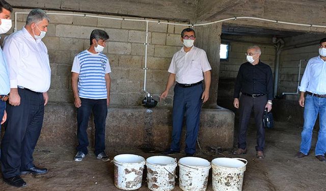 Hayvancılığa otomatik suluk desteği: Et ve süt veriminin artırılması hedefleniyor