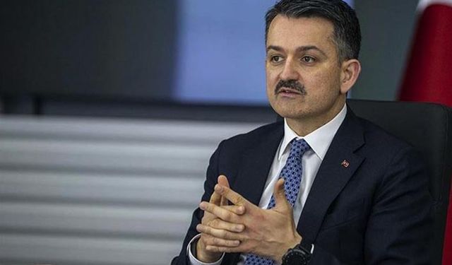 Hayvanlar yem bekliyor! Yem desteği unutuldu mu?