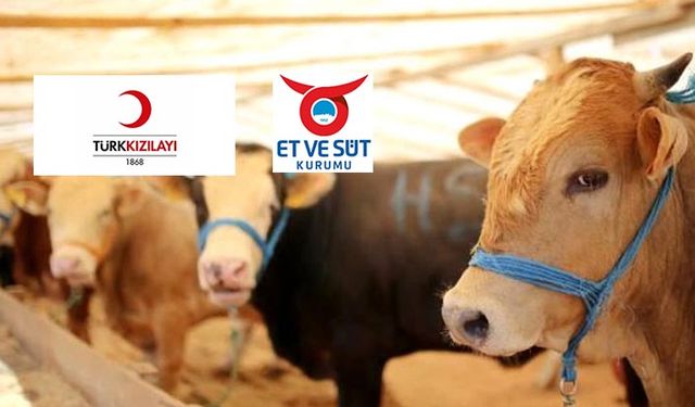 Kızılay ile Et ve Süt Kurumu anlaştı kurbanlıklar yerli üreticiden