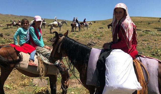 Muş'un yaylalarında hayatlarını böyle kazanıyorlar