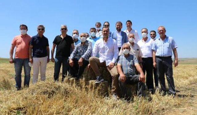 Silivri Belediyesi boş araziyi değerlendirdi tohum ve samanı ücretsiz dağıttı!