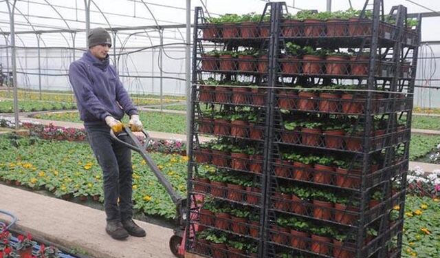 SÜSBİR Volkswagen'in arazisine talip oldu