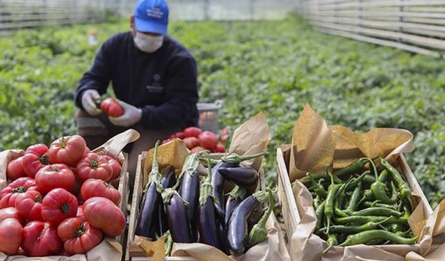 Tarlada üretim maliyetleri artıyor