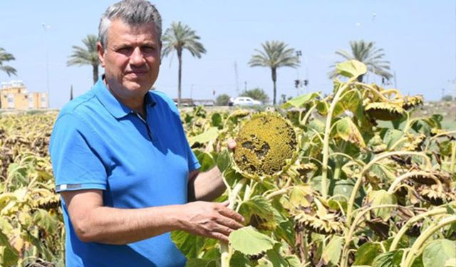 CHP’li Barut: İthalata değil üreticiye destek verin!