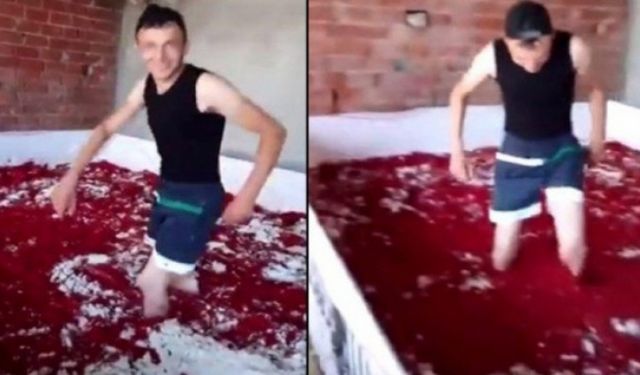 Halkın sofrasına bu ürünler giriyor!