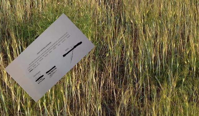 Hibe tohum desteğinde çiftçinin yaşadığı mağduriyet tutanakla belgelendi!