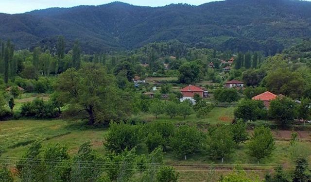 Orman köylüsüne faizsiz kredi!