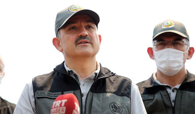 Pakdemirli: Orman yangını havadan inceledi